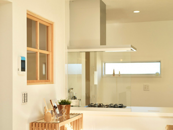 �i���n���ώʐ^�j