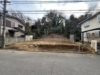 ���n�ʐ^�@2026�N2���B�e
���z�����Ȃ����n
�~�n��46��!!
�O�ʌ����U��